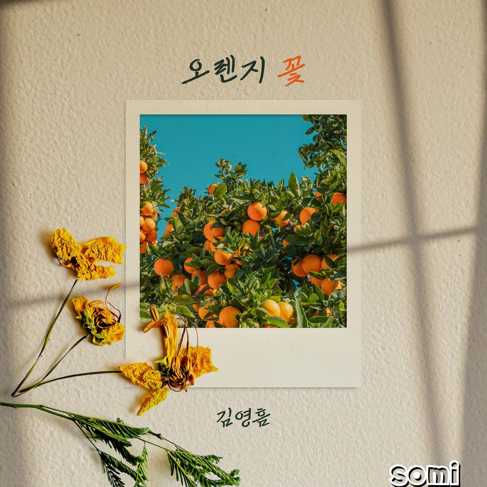 Image Cover